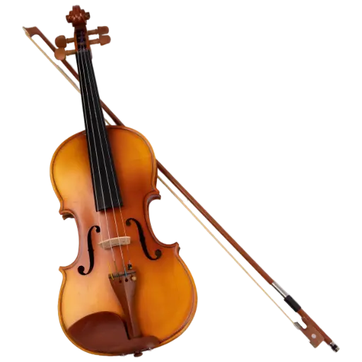 Violin Classes